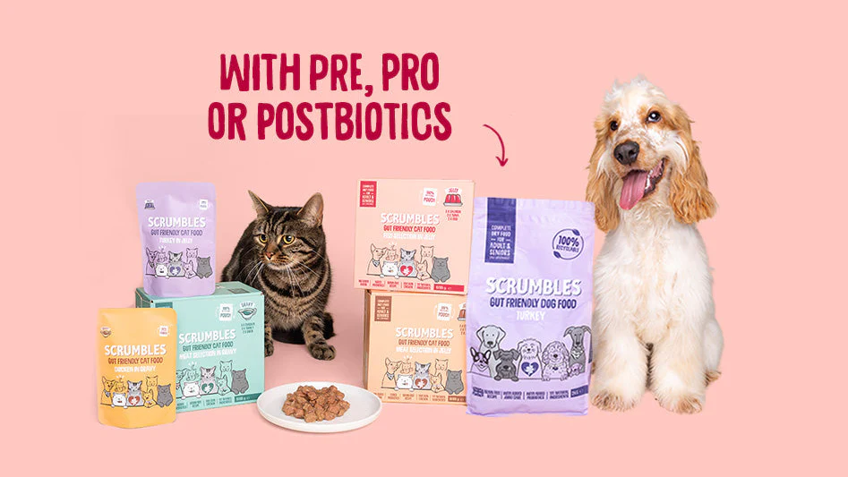 Better Digestion for Happier Pets